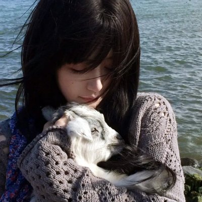 逐浪之夏
