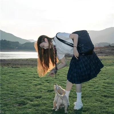 见龙卸甲