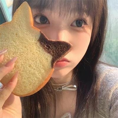高速路上一只猫